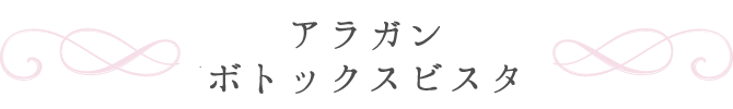 アラガン　ボトックスビスタ