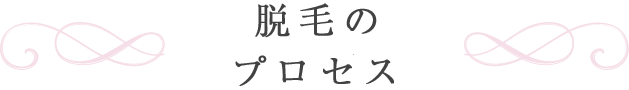 脱毛のプロセス