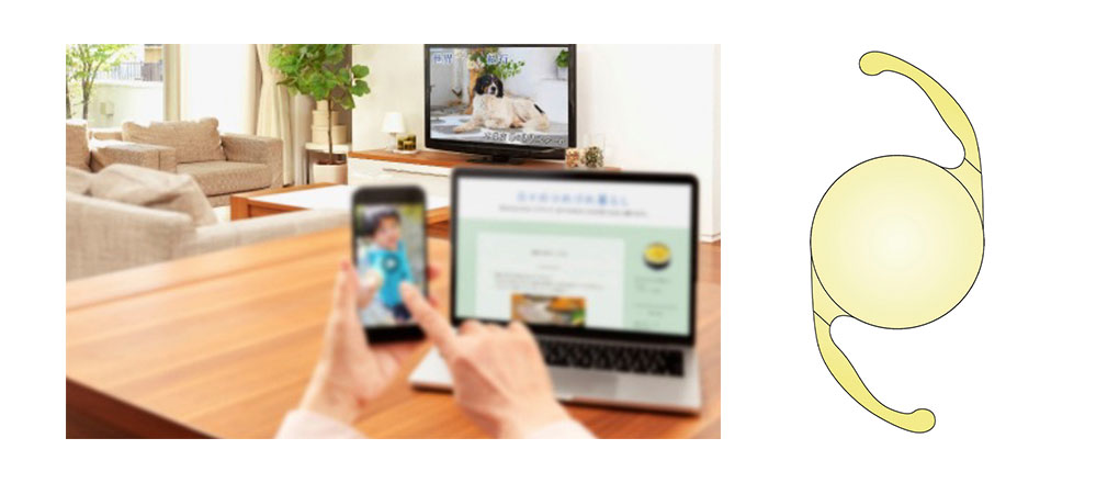 単焦点イメージ